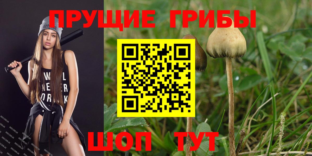 Галлюциногенные грибы мухоморы Ханты-Мансийск
